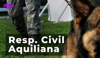 Qué es la responsabilidad civil aquiliana