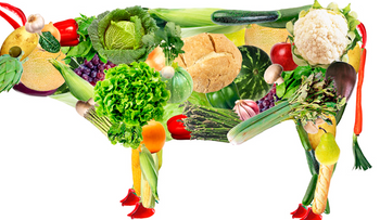 11 beneficios de ser vegetariana