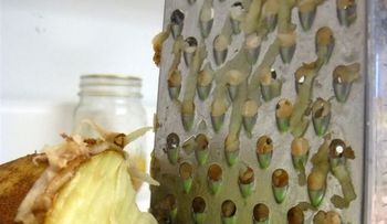 20 Trucos de limpieza brillantes 