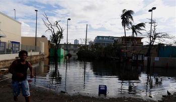 Puerto Rico aumentan a 76 casos sospechosos de leptospirosis tras María 