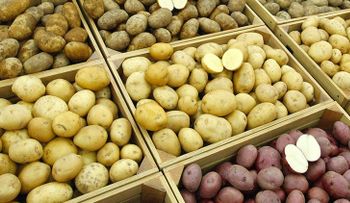 ¿Qué pasaría si solo comiéramos papas? (VIDEO)