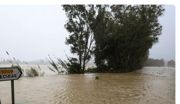 La falta de sol y lluvias intensas afectan el ánimo