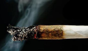 El efecto de la marihuana en el cerebro depende de los años de consumo