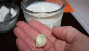 El ajo con leche es muy efectivo para la impotencia sexual; cura la infertilidad de hombres y mujeres
