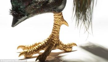 Zapatos de tacón inspirados en las aves