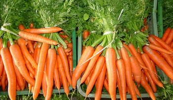Diez alimentos que mejoran la salud de los ojos y la vista