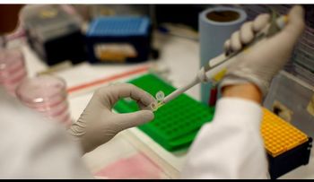 Los científicos descubren una nueva forma de cáncer contagioso