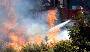 Incendio al nordeste de Los Ángeles se extiende sobre 8.000 hectáreas