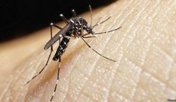 500 bebés nacerán con microcefalia por zika en Colombia 