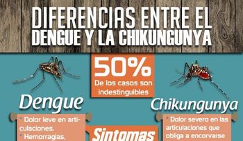 Dengue y chikungunya: ¿Cómo se diferencian?