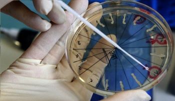 Vitalidad extraordinaria: revelan el secreto de los animales capaces de vivir en el espacio