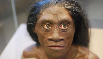 Conozca la increíble historia origen del hobbit, antigua especie humana de un metro de altura