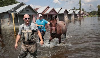 Aguas residuales y bacterias fecales son detectadas tras Harvey