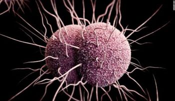 Esta enfermedad de transmisión sexual se está volviendo cada vez más 'inteligente' y más difícil de tratar