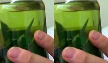 Despídete ahora mismo del colesterol, diabetes, triglicéridos y ulceras con las hojas de esta planta 