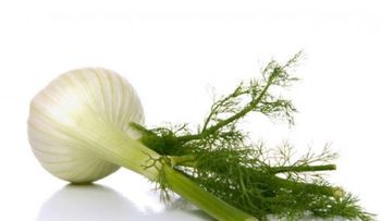 5 plantas que te pondrán los senos un poco más grandes 