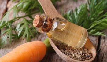 Tu CABELLO crecerá fuerte y sano con estas 3 mascarillas con aceite de zanahoria 