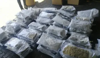 Ocupan 220 paquetes de marihuana en tanque que llegó al Puerto de Haina desde EE.UU.