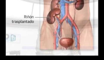 El doctor Fadul: Los diabéticos no pueden comer guineo maduro; remolacha; mango; chinola; ni harina