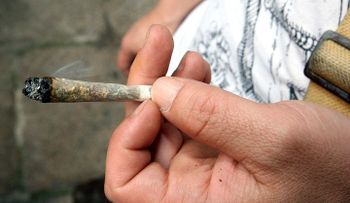 Dicen que la marihuana podría ser clave para combatir el ébola 