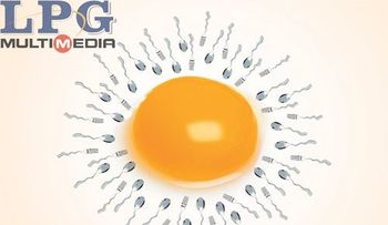 10 alimentos mejoran la fertilidad y el sexo