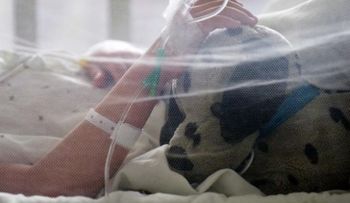 Brasil confirma 134 casos de microcefalia causados por el virus del Zika