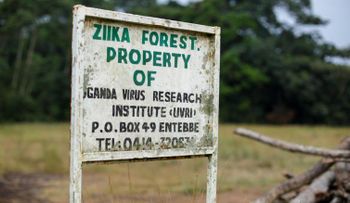 El lugar de nacimiento del zika: un bosque de Uganda