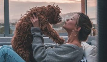 5 señales de que tienes una relación tóxica con tu perro