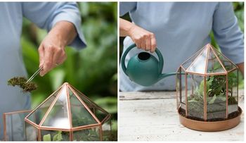 Cómo hacer un mini jardín de ensueño