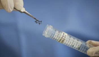 Prevén habrá vacuna del zika en 4 ó 5 años