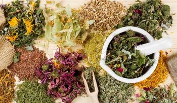 15 plantas medicinales que arruinarían las farmacéuticas