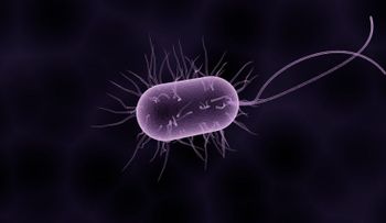 Qué es el microbioma y por qué abre la puerta a curar enfermedades