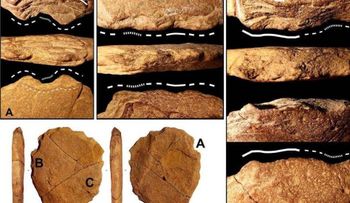 Hallan indicio de que los humanos vivían en América del Sur hace 24.000 años