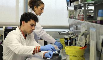 Adiós a la metástasis: centíficos desarrollan un fármaco que frena la expansión del cáncer