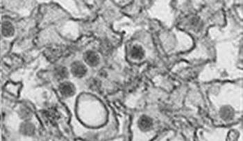 Brasil busca desarrollar vacuna contra zika y dengue