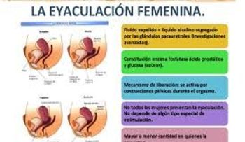 Característica de la eyaculación femenina