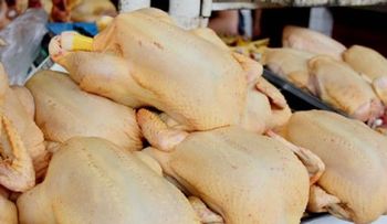 Organizaciones rechazan alzas en precios carne de pollo