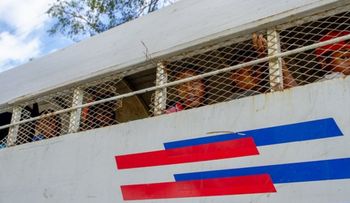 En el Día del Migrante, OBMICA llama a una gestión migratoria institucional y eficiente