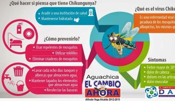 Algunos trucos para evitar la chikungunya sugeridos por la Organización Mundial de la Salud 