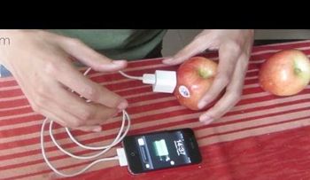 Sorprendente: cómo cargar tu celular con una manzana o un melón 