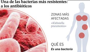 La "Klebsiella": Se puede pegar por contacto en hospitales y causar enfermedades mortales