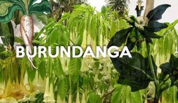 Nueva modalidad de atraco con burunganda: Te lo colocan con un volante en el cristal de tu vehículo 