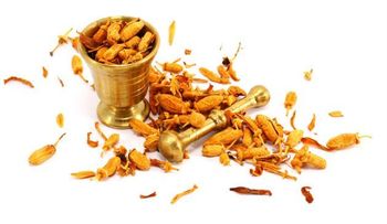 Si quiere perder peso, prueba con la naranja amarga 
