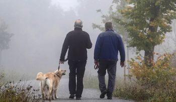 La mitad de los españoles mayores de 40 sufre disfunción eréctil