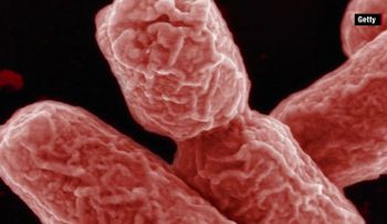 Brote de gonorrea en Hawaii muestra aumento de resistencia a los antibióticos