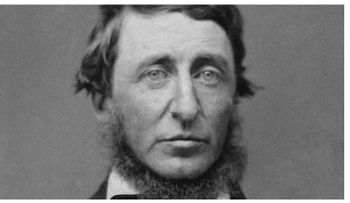 Las tres sillas de Thoreau para una vida feliz