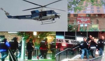 Crímenes en aumento en NY; policía detiene 103 pandilleros