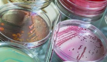 Bacteria mortal escapa de laboratorio secreto EE.UU.