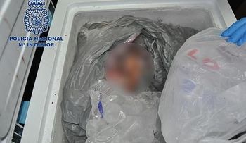 Mató a su hermano y guardó los restos en el freezer