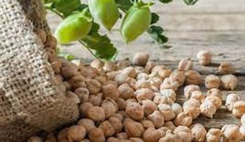   No te arrepentirás con este remedio que baja el colesterol y triglicéridos